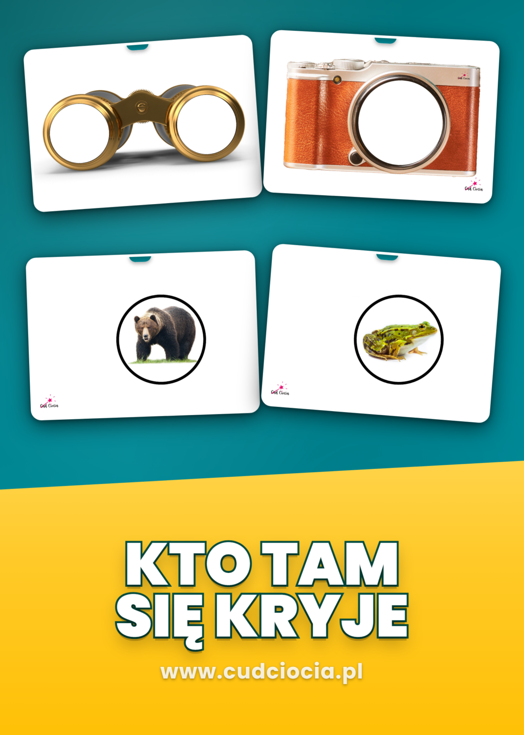 Lornetka i Aparat — Leśne Zwierzęta | Kto Tam Się Kryje?