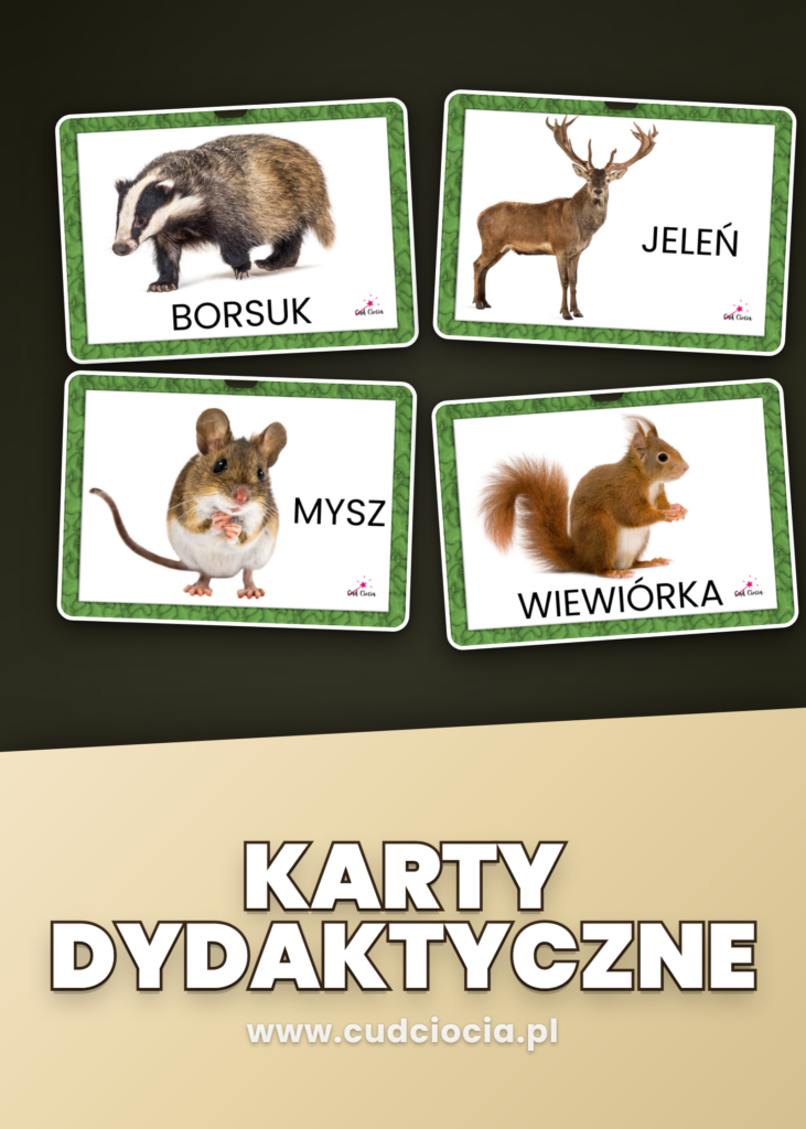 Leśne Zwierzęta — Karty Dydaktyczne PL (20 Fotografii)