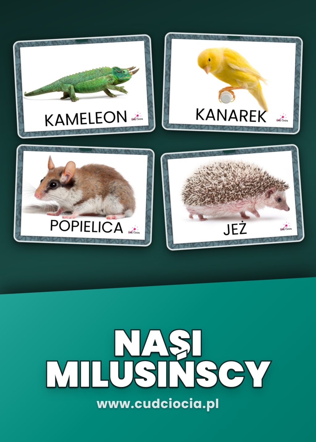 Nasi milusińscy (zwierzęta) - KARTY DYDAKTYCZNE