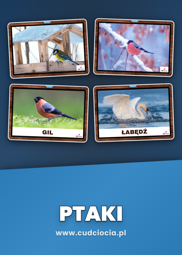Ptaki — GIGA Pakiet
