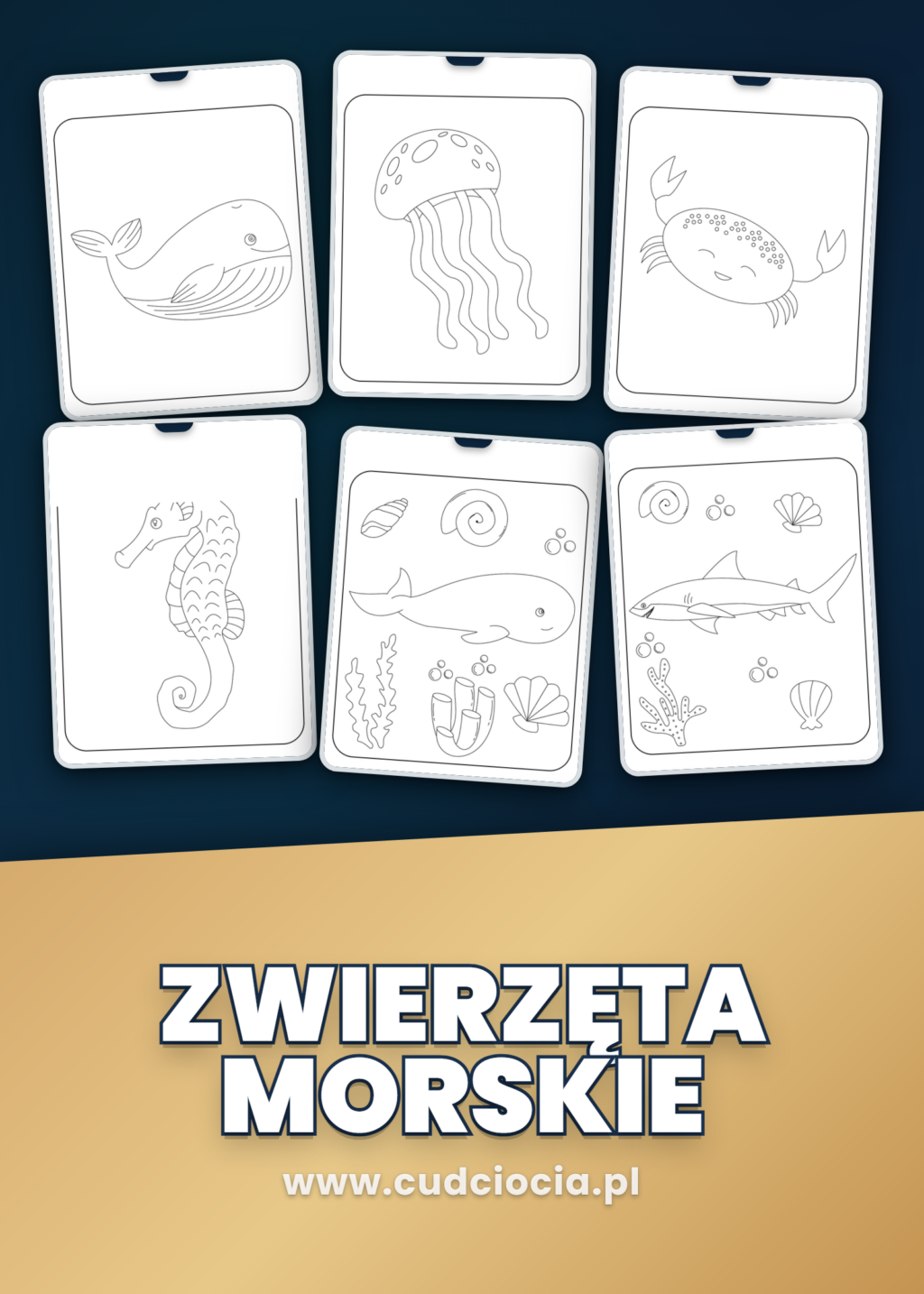 Kolorowanka Zwierzęta Morskie