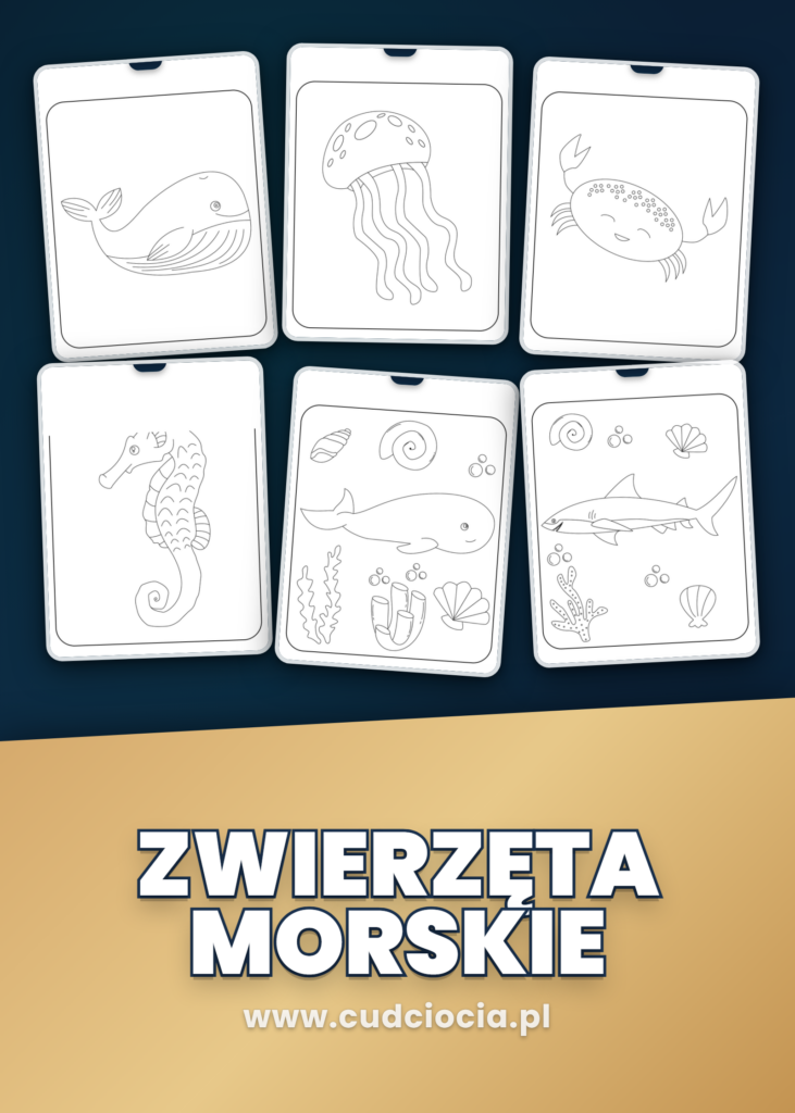 Kolorowanka Zwierzęta Morskie