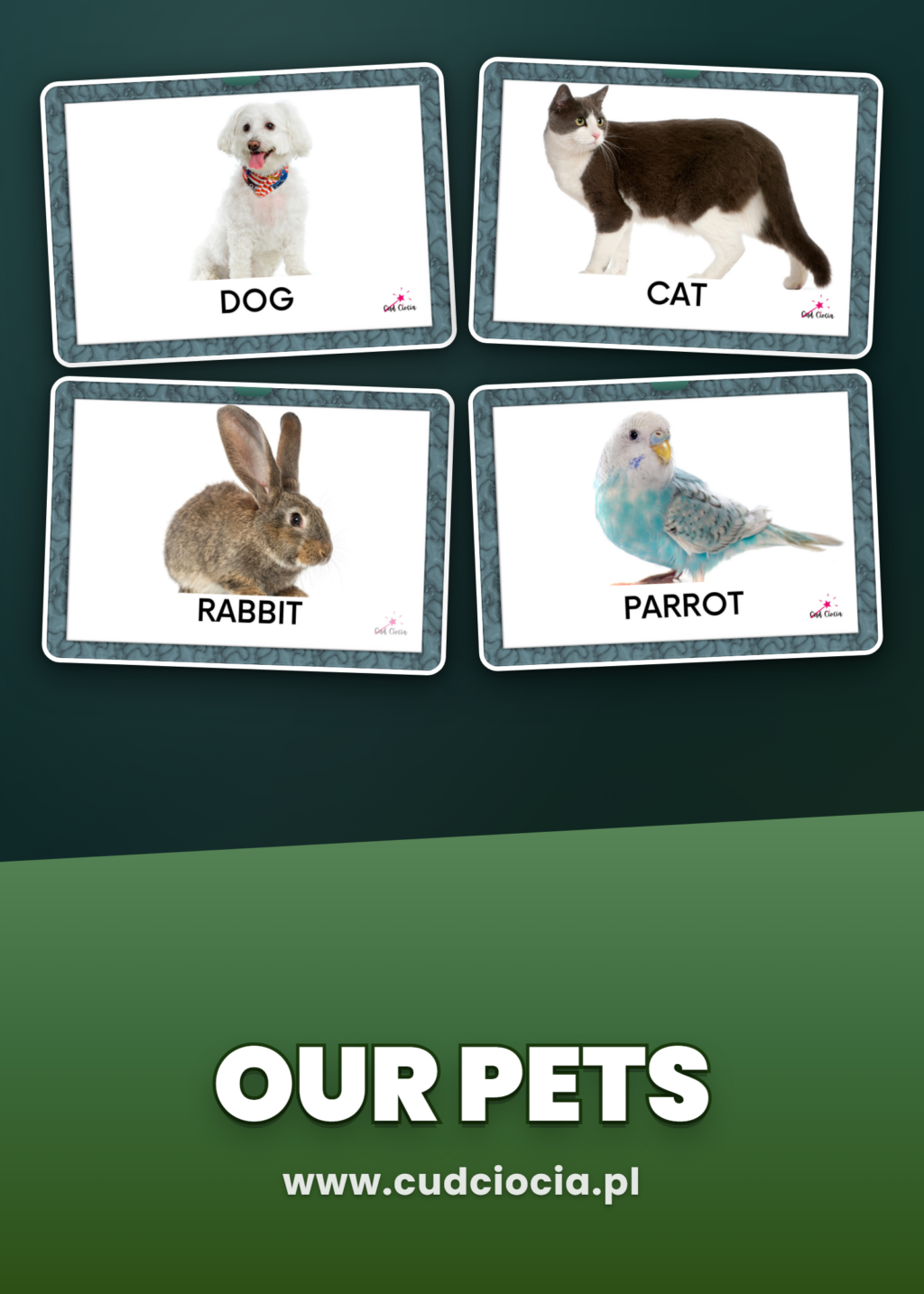 Our Pets — Karty Prezentacyjne ANG (29 Zwierząt Domowych)