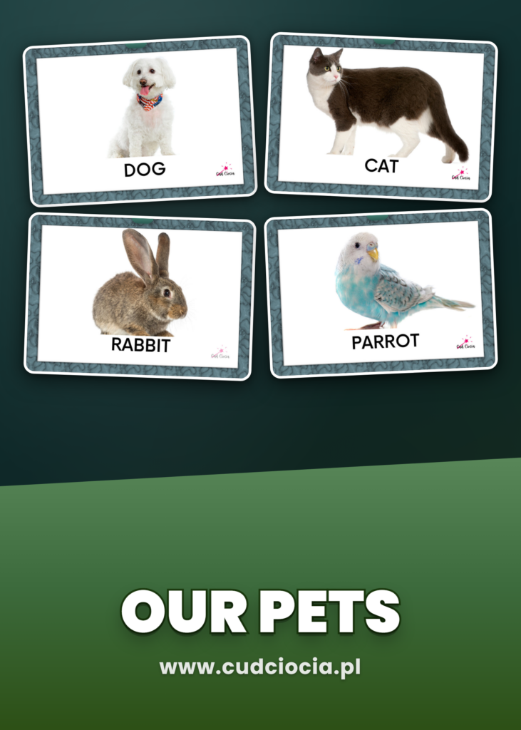 Our Pets — Karty Prezentacyjne ANG (29 Zwierząt Domowych)