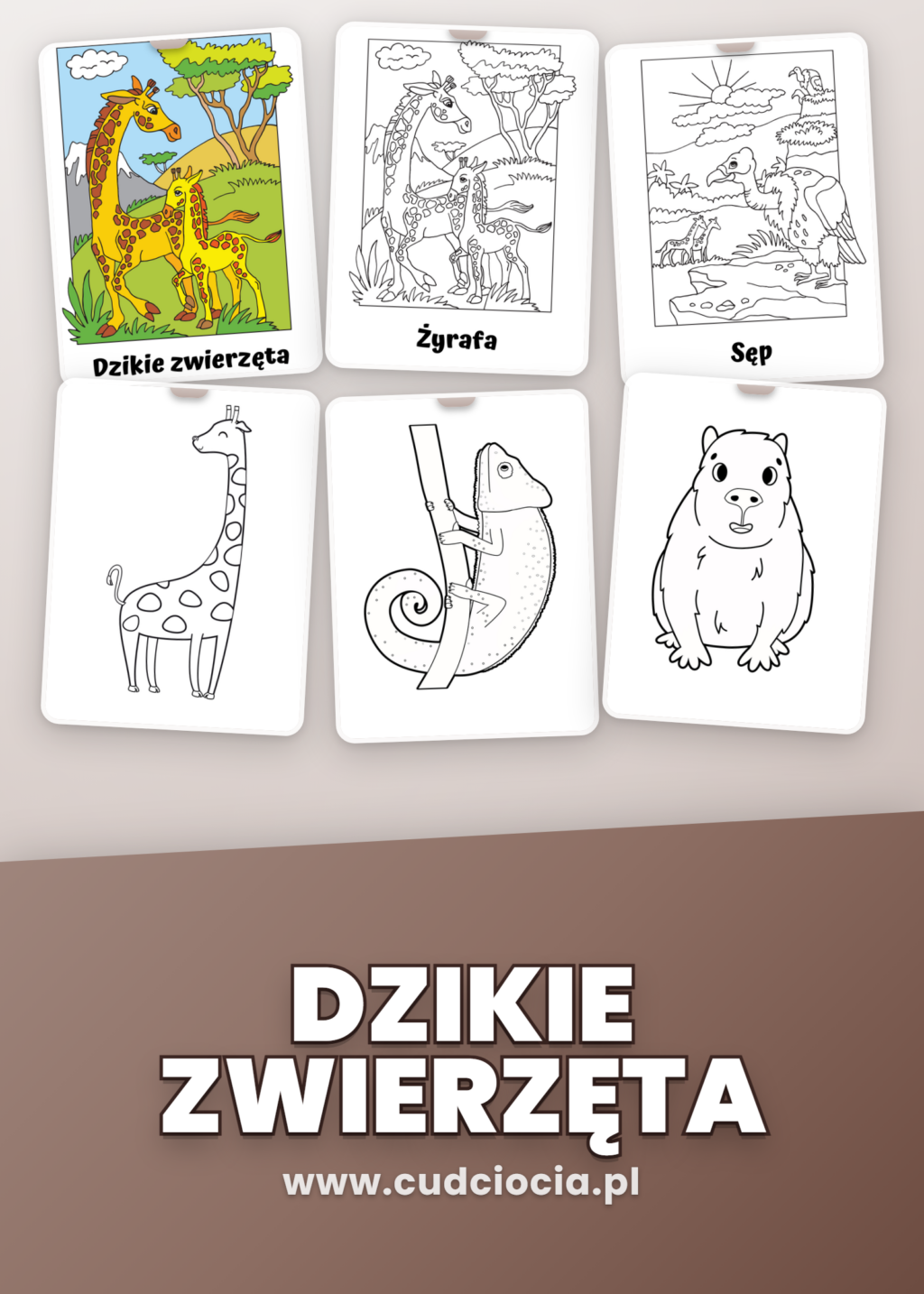 Dzikie Zwierzęta — Kolorowanka PL (42 Strony, 2 Poziomy)