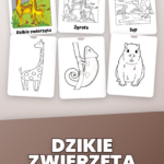 Strona 1, okładka produktu