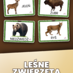 Strona 1, okładka produktu