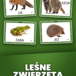 Strona 1, okładka produktu