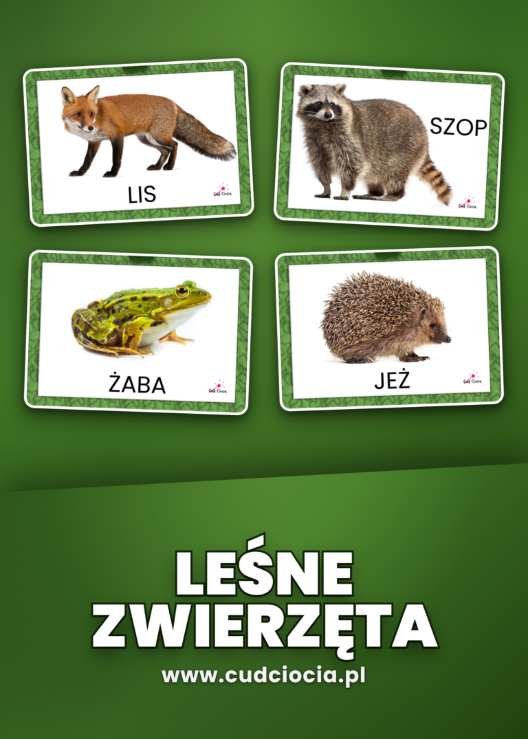 Leśne Zwierzęta — Karty Dydaktyczne PL
