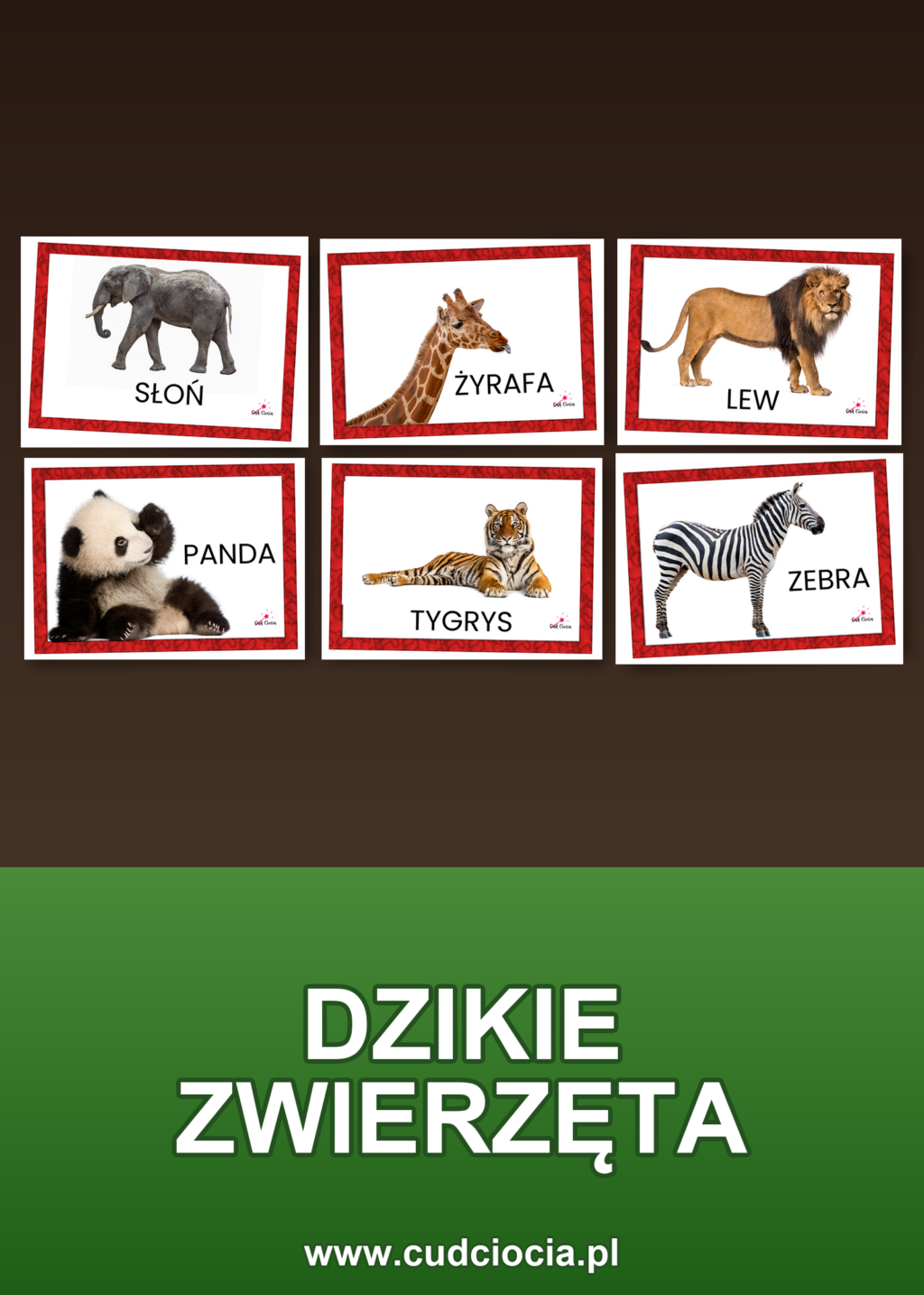 Dzikie Zwierzęta — Karty Prezentacyjne PL (29 Fotografii)