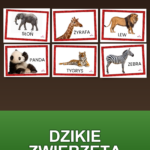 Strona 1, okładka produktu